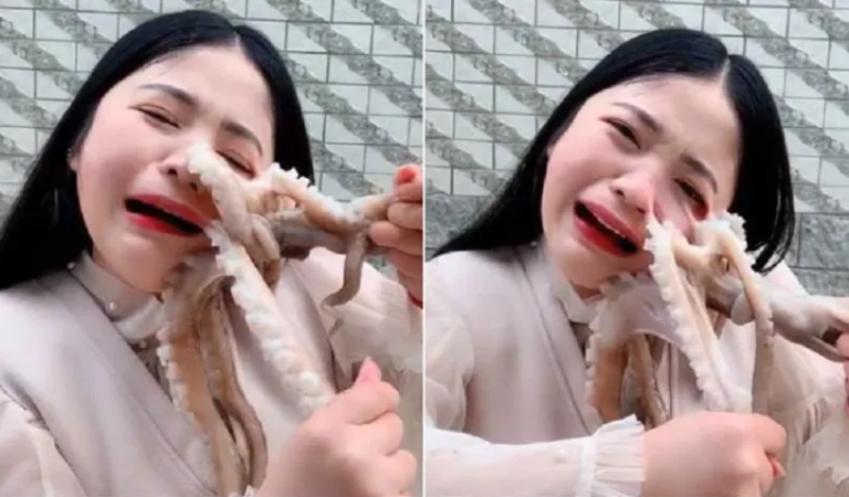 Unforeseen Battle Unfolds as Blogger Attempts Live Octopus Eating Challenge