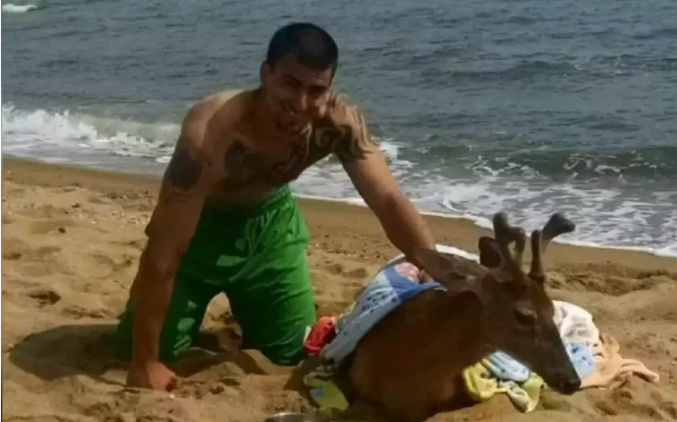 The Fisherman’s Heroic Act: Rescuing a Deer Six Miles Off the Coast